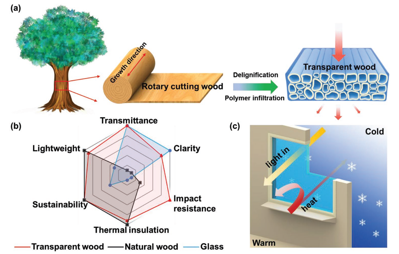Schematic illustration of the fabrication process of the transparent wood, which features various outstanding characteristics compared to glass windows.