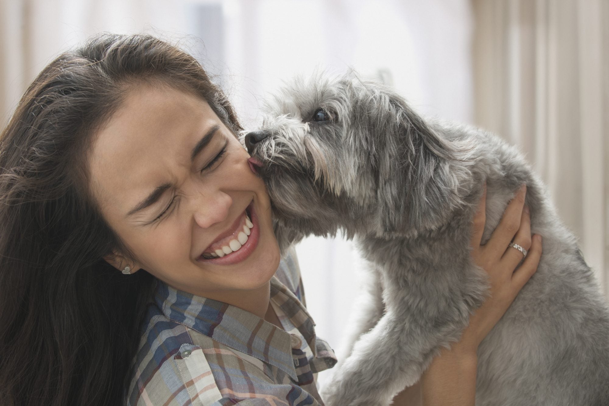 Why Do Dogs Lick Your Face? The most common reasons, according to a ...