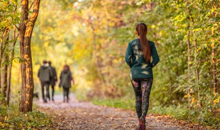 One-hour walk in nature reduces stress, study finds - The Brighter Side ...