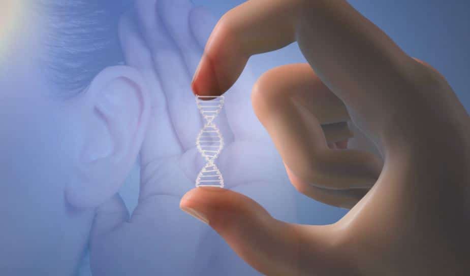 Gene therapy advance shown to restore severe hearing loss - The ...