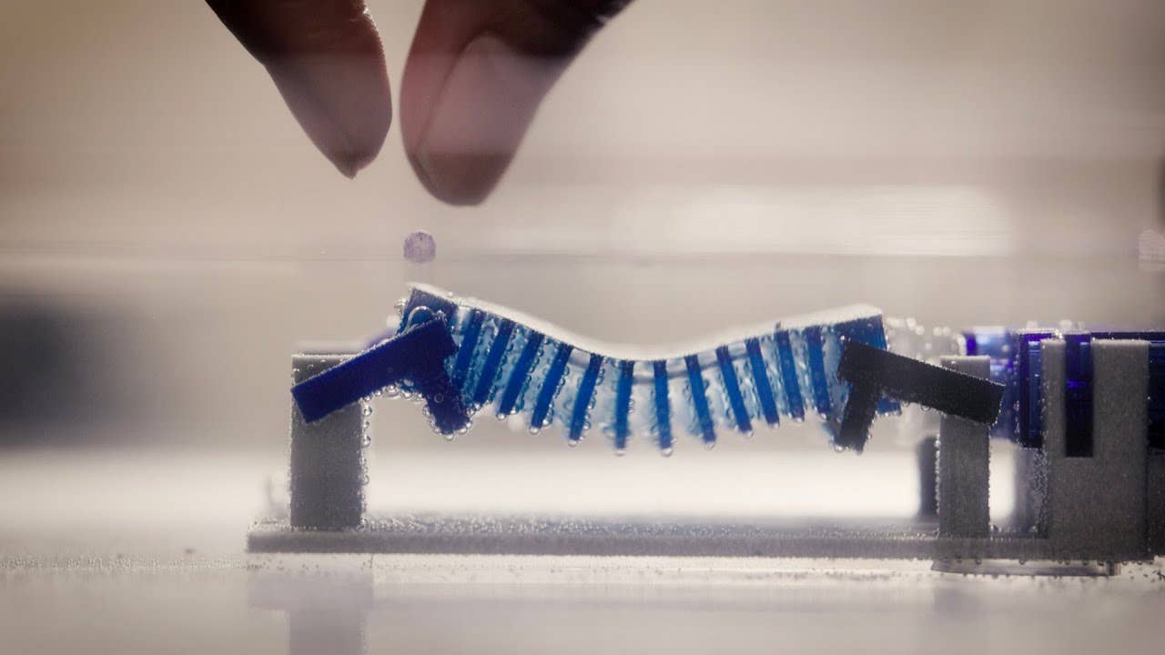 Snail-Inspired Robot Takes on Ocean Microplastic Cleanup - The Brighter ...
