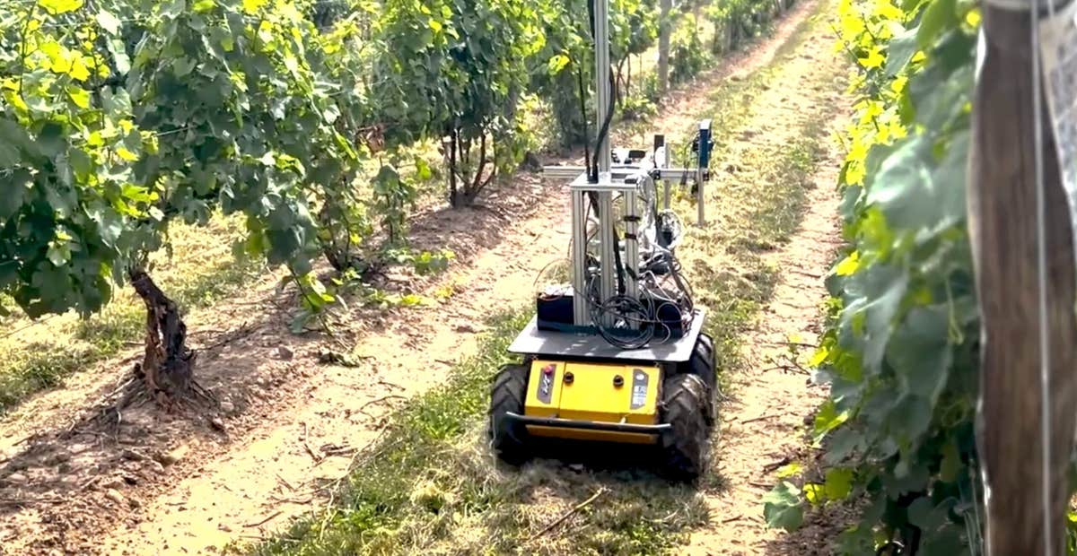 Auto Grape Picker Small army of autonomous robots to help modernize grape, wine industry ...