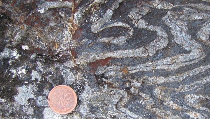 Gamechanging discovery rewrites history of life on Earth - The Brighter ...