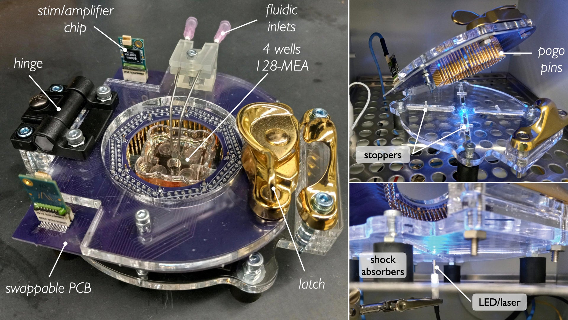 Revolutionary open-source technology connects with living neurons - The