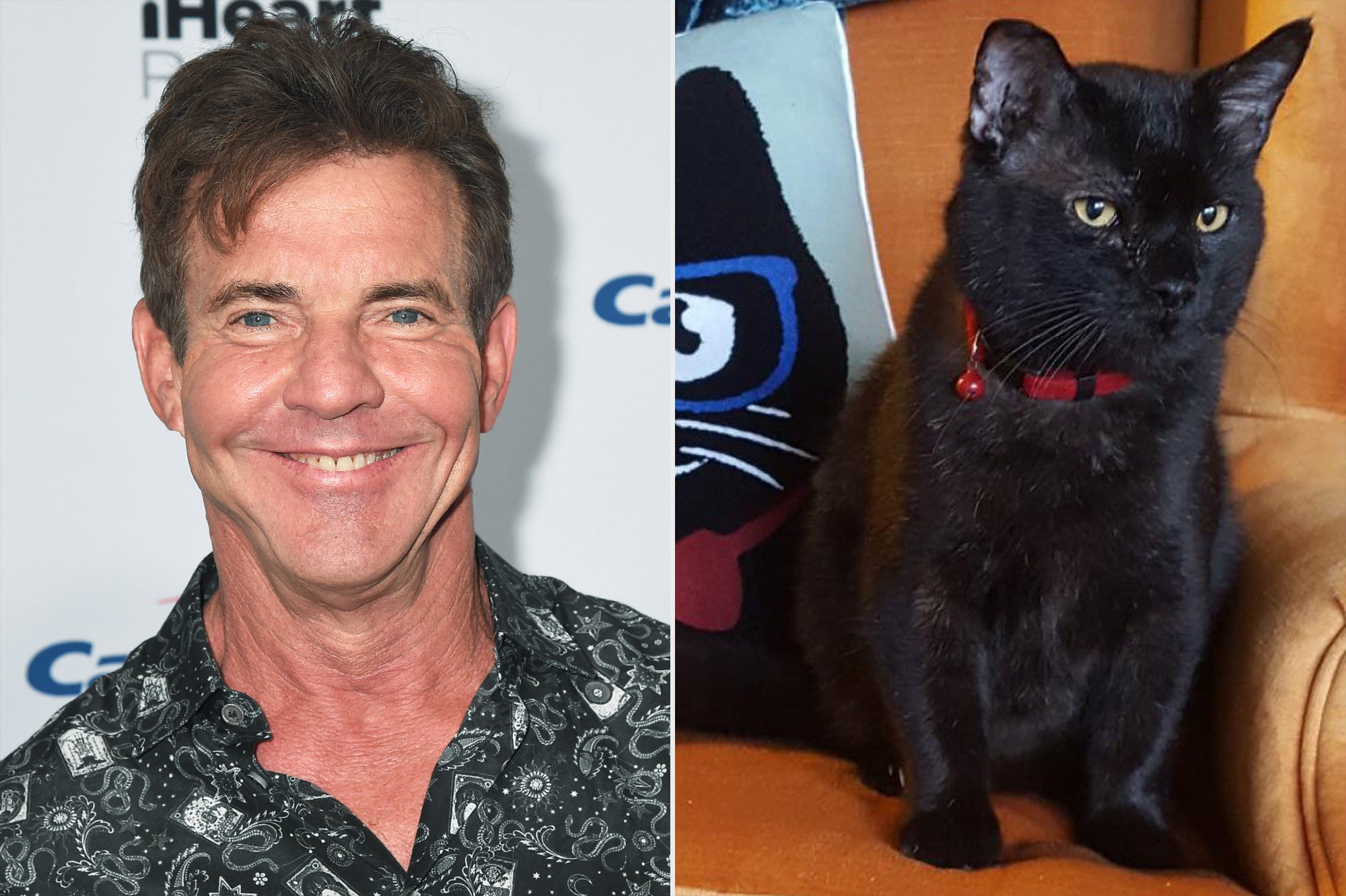 Dennis Quaid Adopts a Black Cat Named Dennis Quaid: 'I Just Couldn't