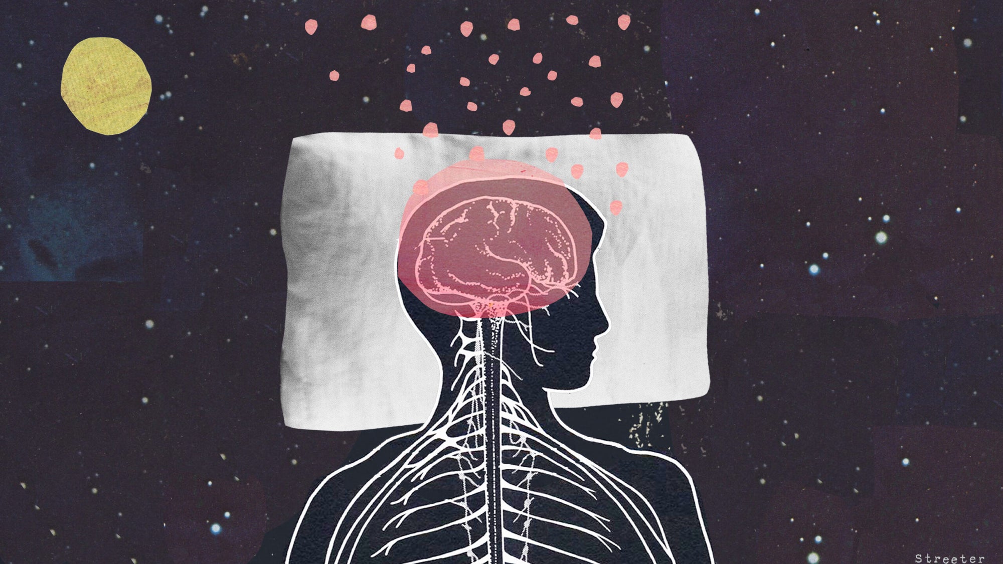 Ever wonder what your brain actually does while you sleep? Scientists ...