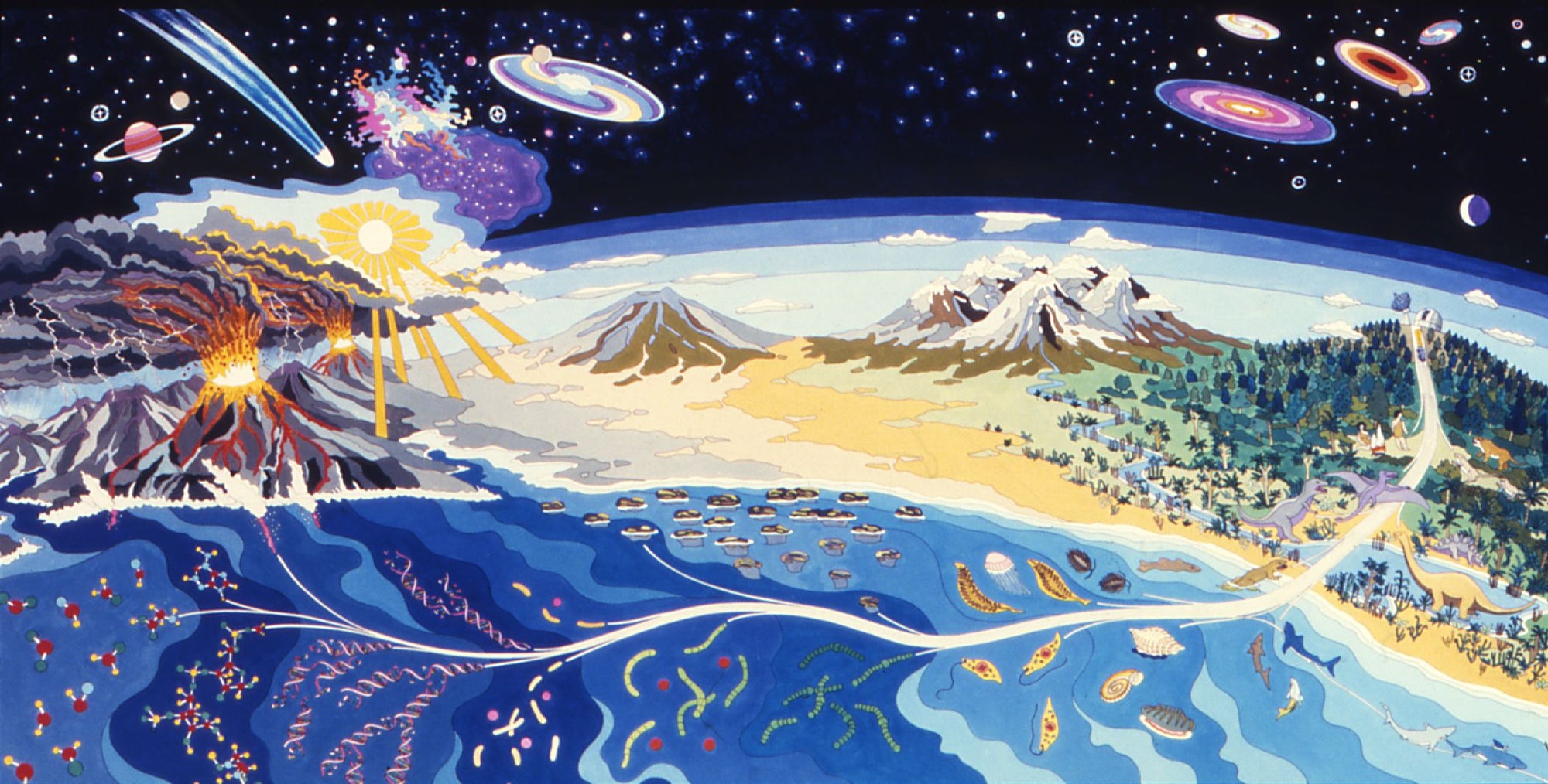 Did life on Earth come from outer space? Study provides new insights ...