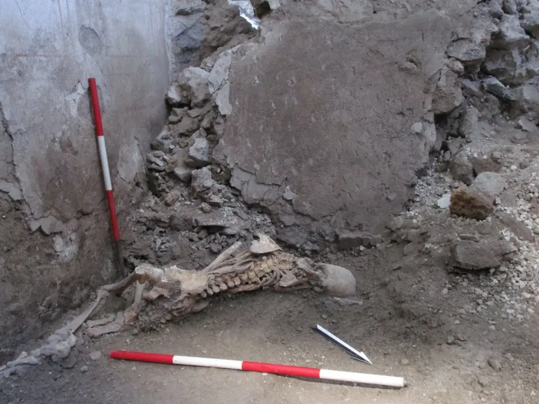 Skeleton of ‘individual 1’, a male aged around 50 years. The positioning suggests he was suddenly crushed by the collapse of a large wall fragment, resulting in severe traumas causing immediate death. 
