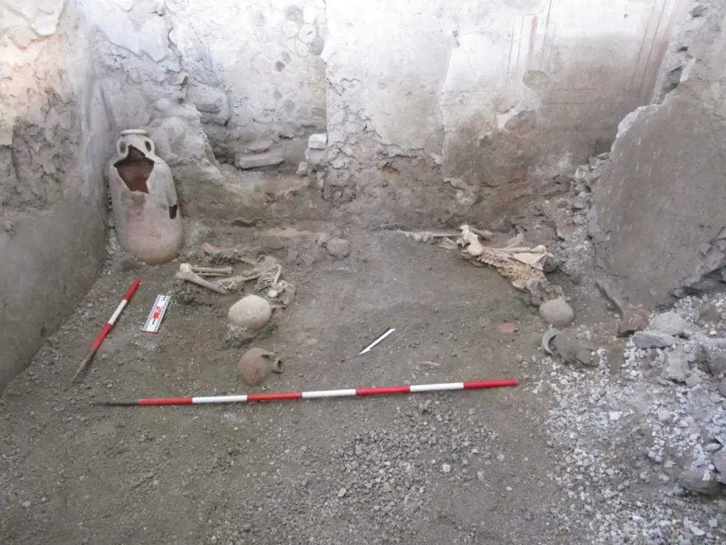 Scientists discovered two skeletons in the ruins of a Pompeii building and concluded that their deaths must have been caused by wall collapses triggered by earthquakes