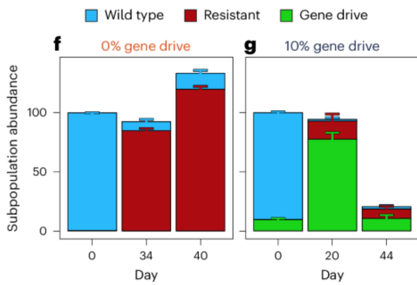 Theoretical models inform optimal treatment regimens in vivo.