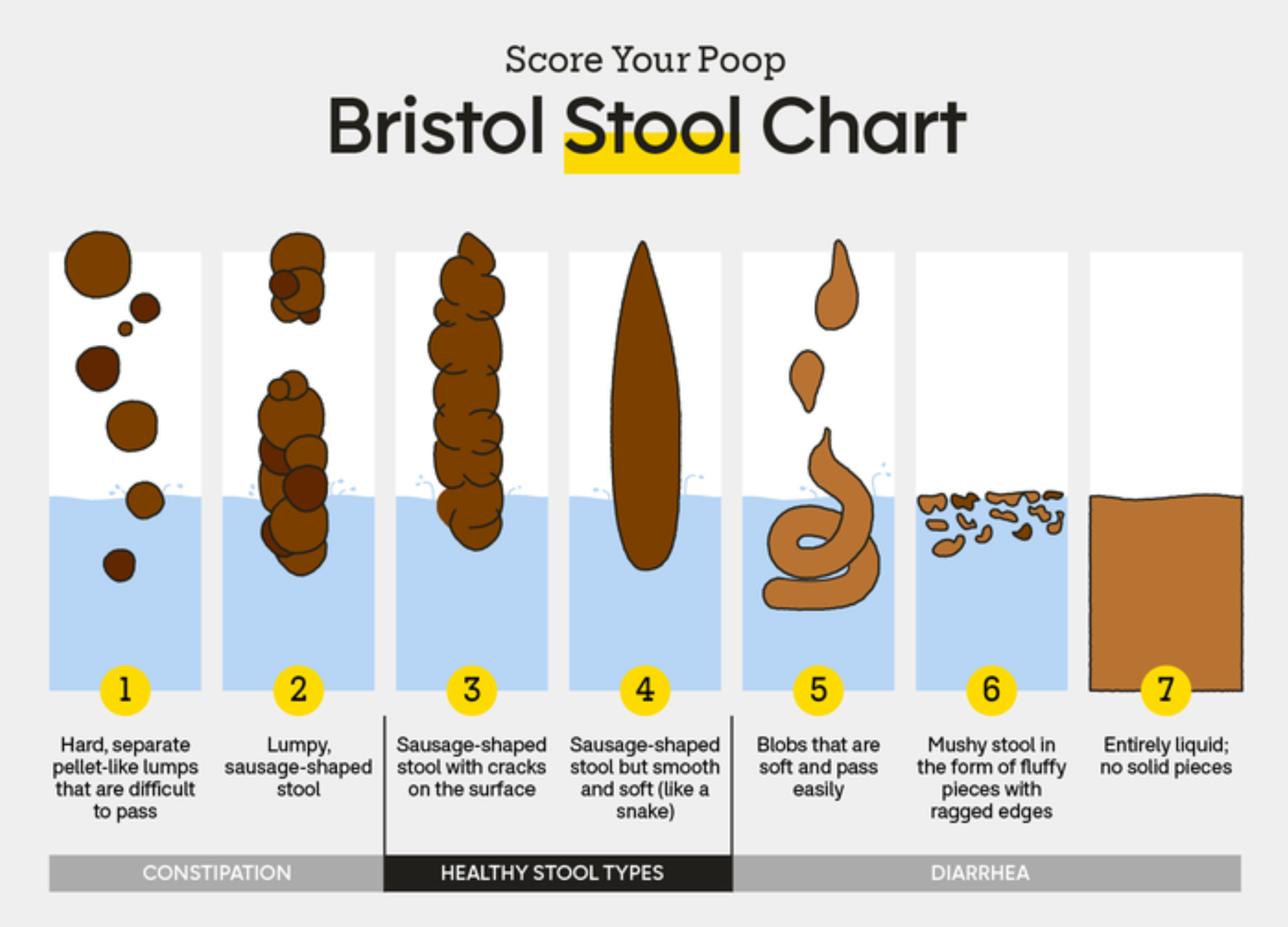 Bristol Stool Chart