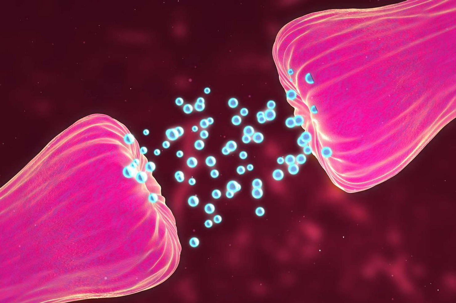 Levels of GDNF were found to be lower in people with AUD during periods of alcohol abstinence. 