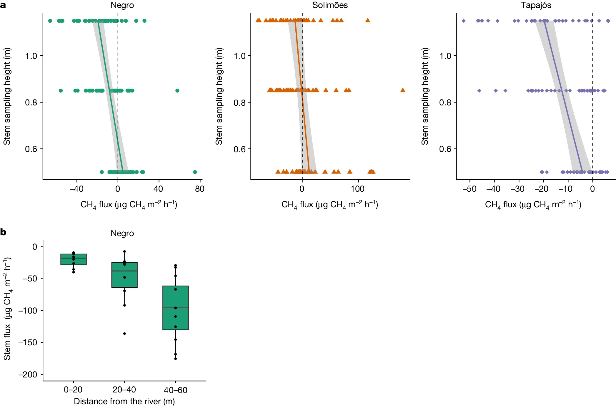 Spatial patterns of CH4 fluxes on dry season Amazon floodplain trees.