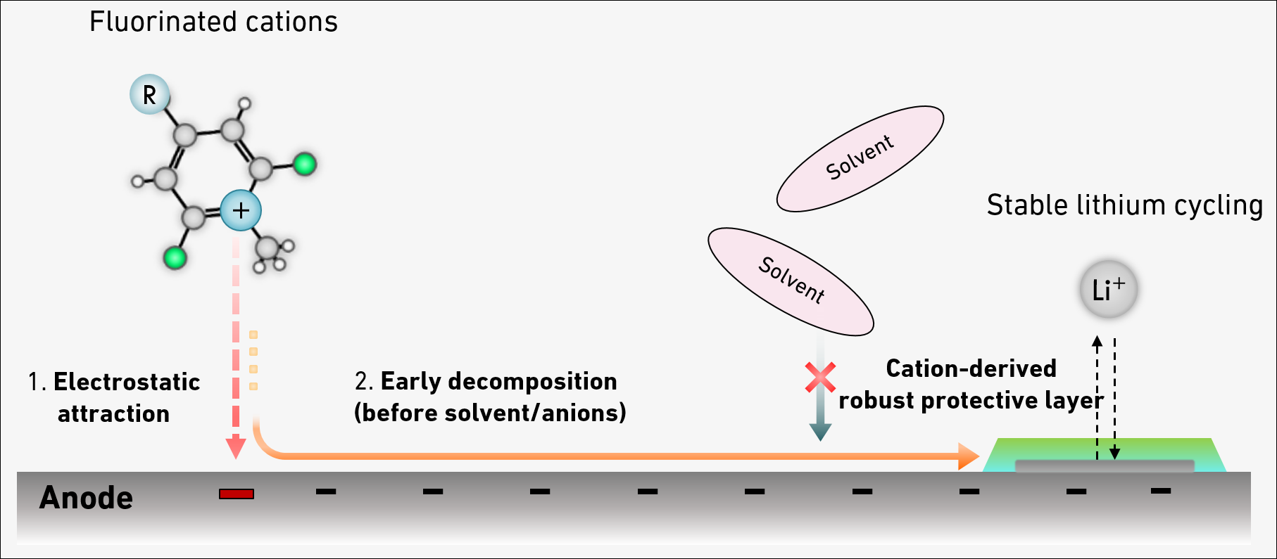 The newly developed method uses fluorinated cations as a vehicle to transport fluorine to the protective layer. As a result, the protective layer remains stable, fluorine use is minimised, production costs are reduced, and the battery is rendered more sustainable. 
