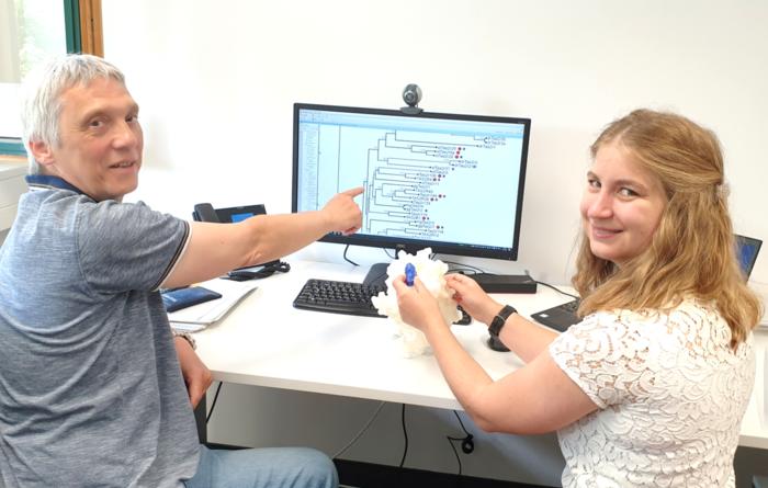 The photo shows PI Dr. Maik Behrens and PhD student Silvia Schäfer sitting in front of a computer monitor in the office. A phylogenetic tree of bitter taste receptors can be seen on the screen.

