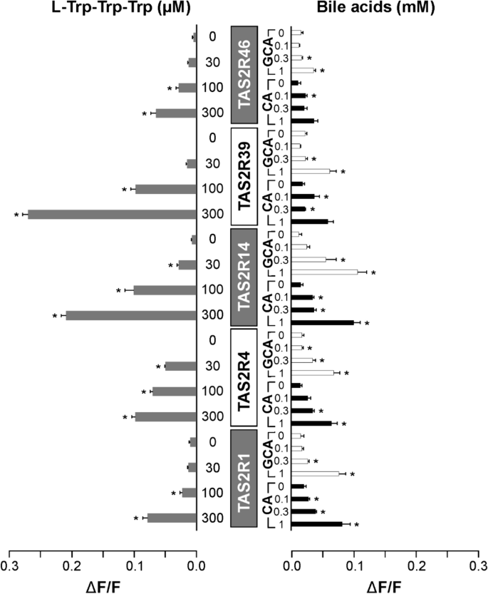 Human TAS2Rs response to bitter peptides and bile acids.