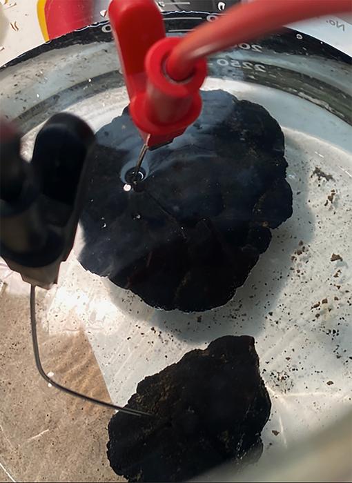 Polymetallic nodules, collected from the ocean floor, sit in simulated seawater in chemist Franz Geiger's laboratory at Northwestern University.