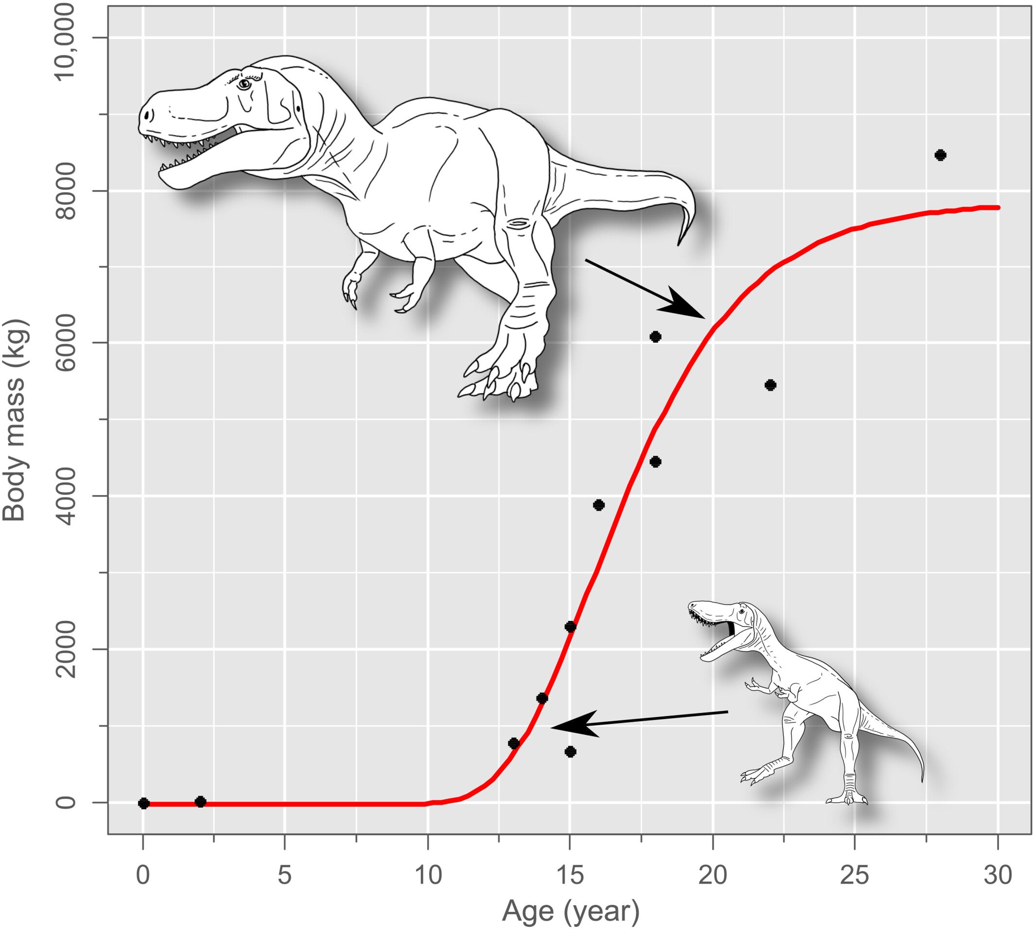 Four-parameter Gompertz growth curve for Tyrannosaurus rex. Mathematical function given in Equation 2.