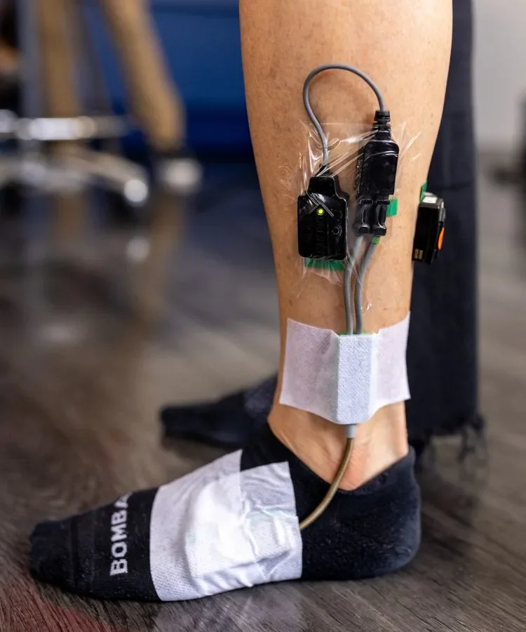 The soleus pushup activates the soleus muscle