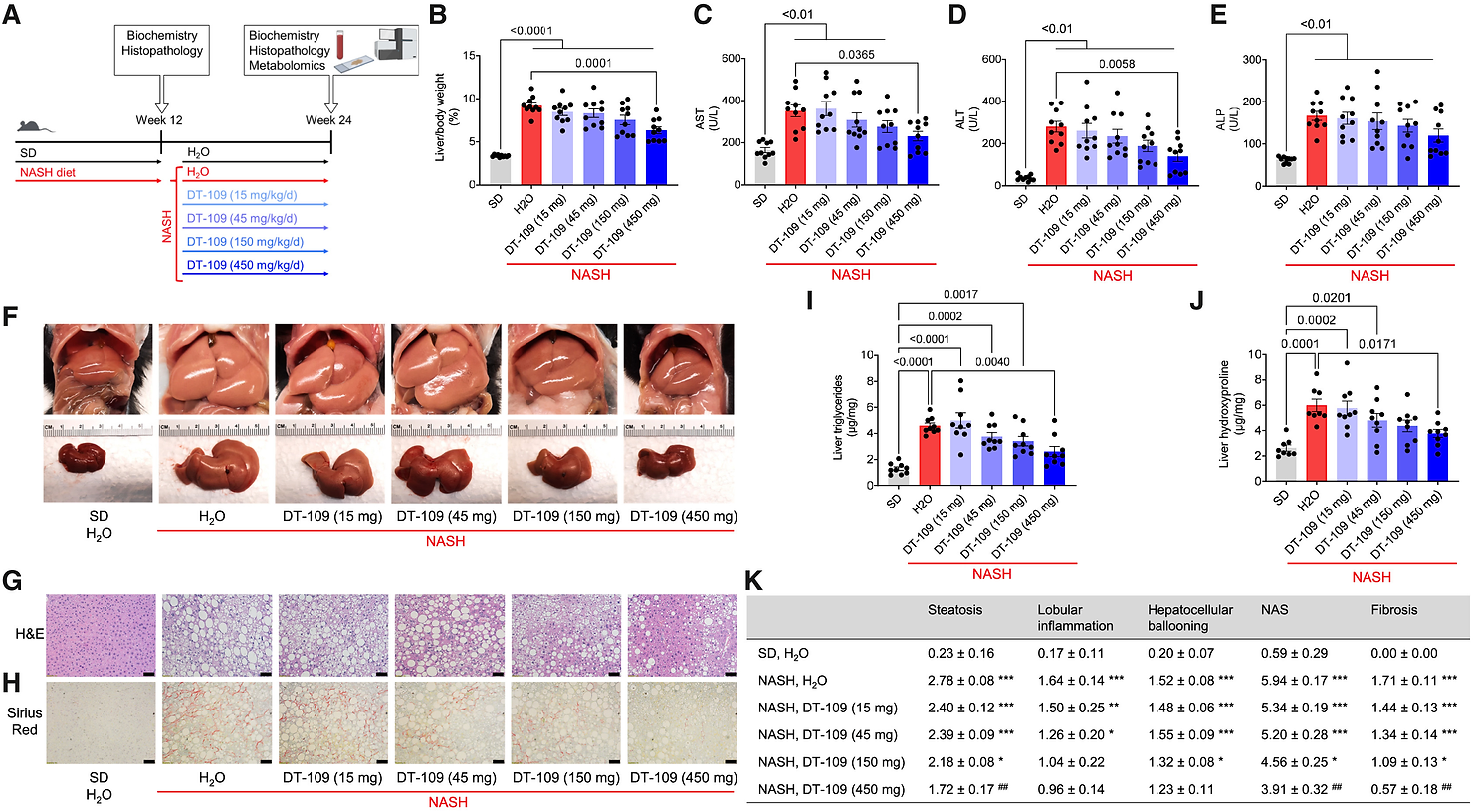 DT-109 ameliorates nonalcoholic steatohepatitis in mice in a dose-dependent manner. 