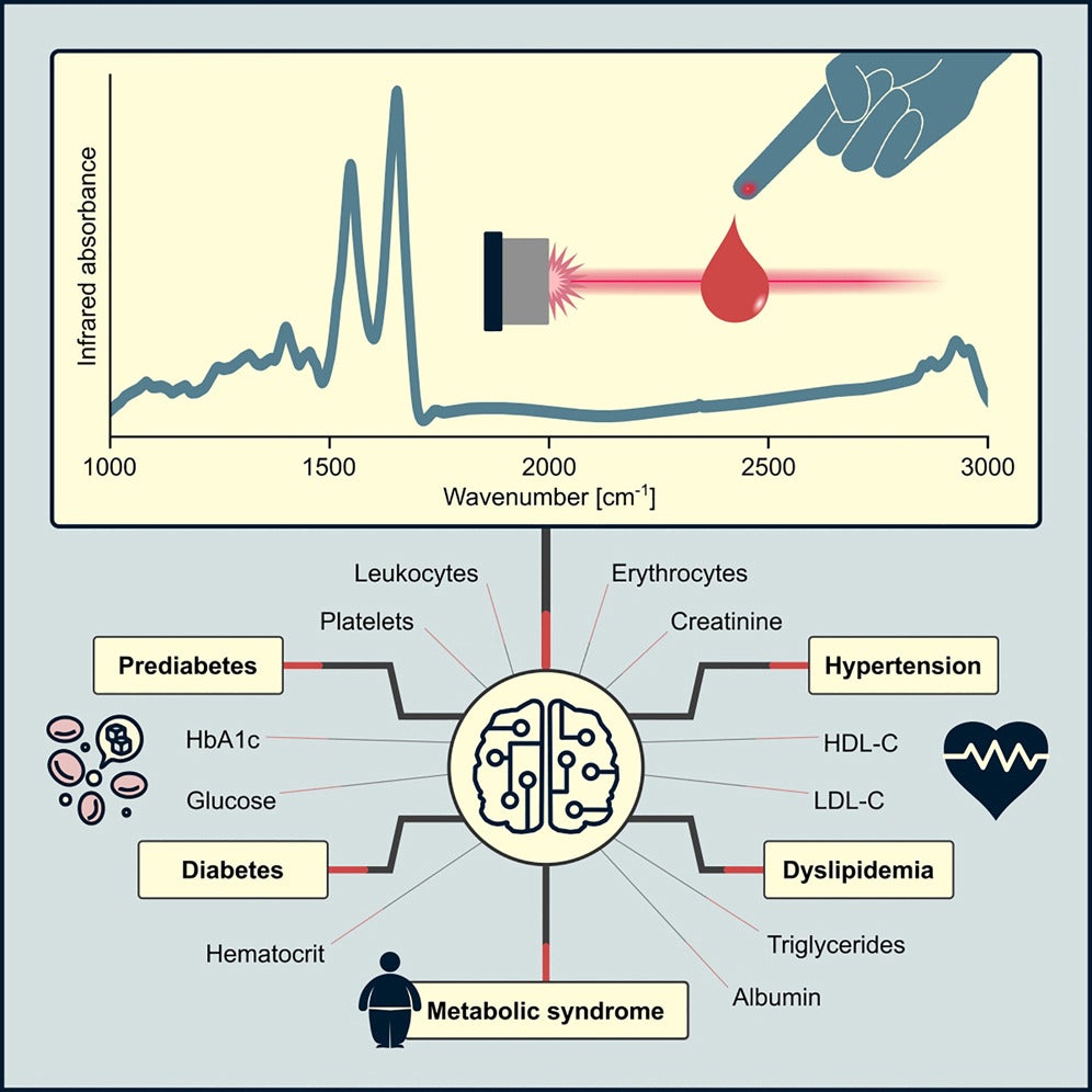 Graphical abstract: Infrared spectroscopy is a powerful technique for probing the molecular profiles of complex biofluids, offering a promising avenue for high-throughput in vitro diagnostics.