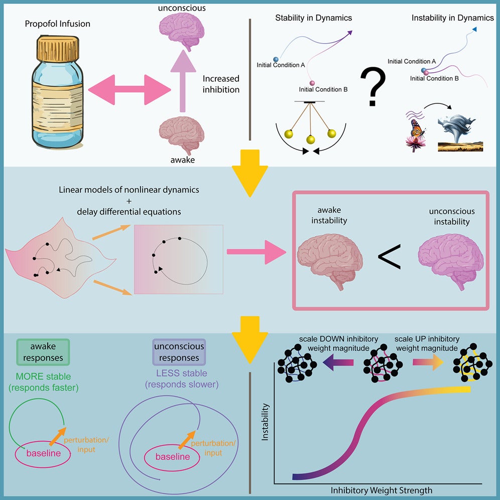 Graphical abstract of anesthesia drug study