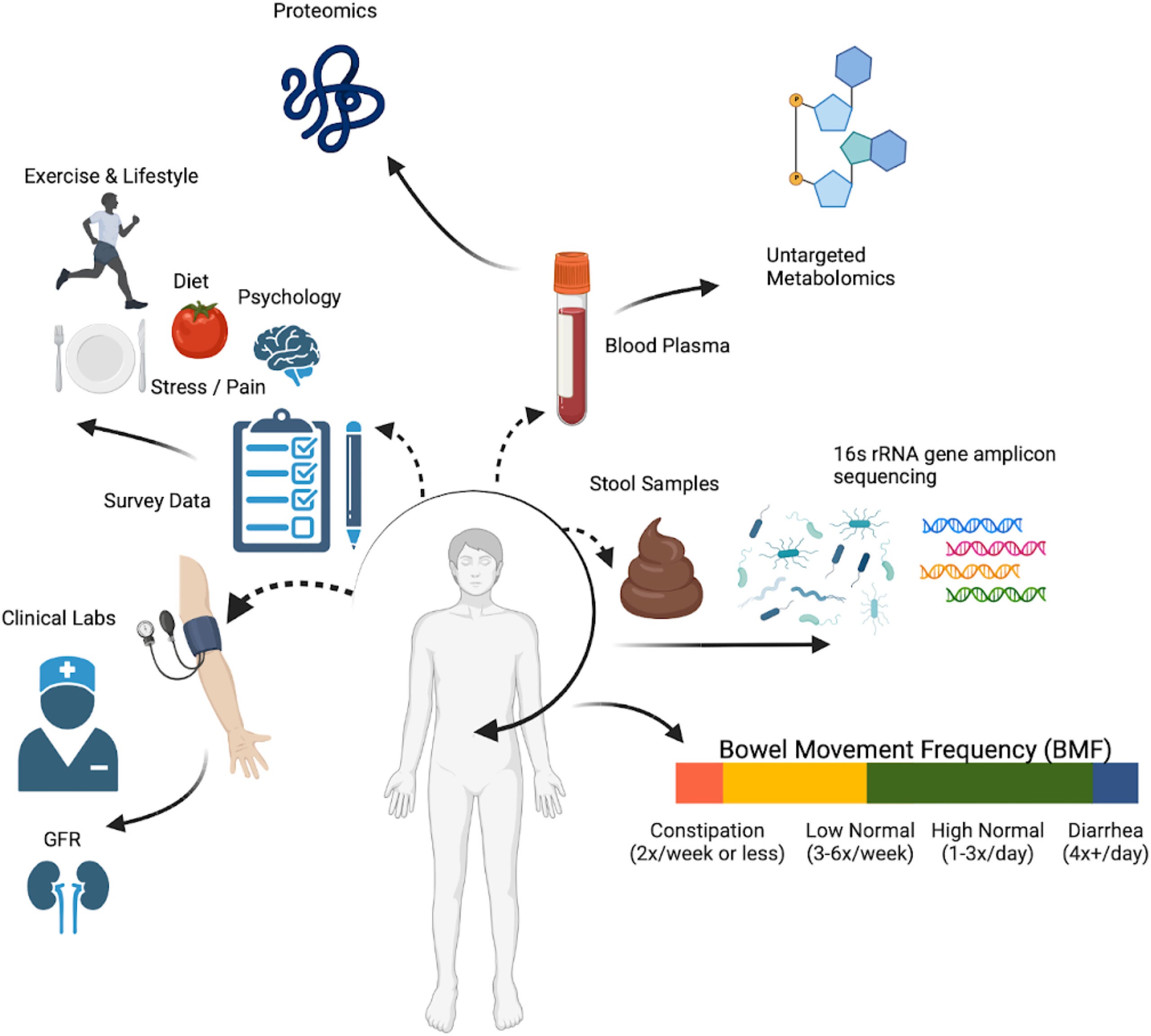 Data collection strategy: Arivale participants were sampled for blood plasma and stool, in addition to filling out extensive diet, health, and lifestyle questionnaires.