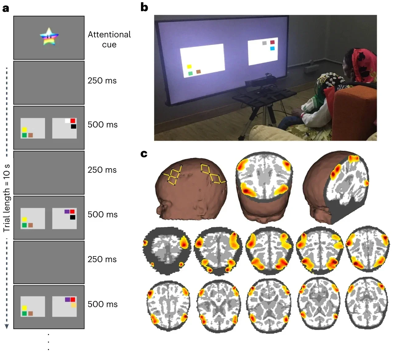 Experimental task and behavioural results. A trial of length 10 s of the preferential-looking VWM task. During the 10 s trial, alternating blank displays for 250 ms are followed by ‘on’ displays of coloured squares for 500 ms (250, 500, 250 and 500 ms… for 10 s). 