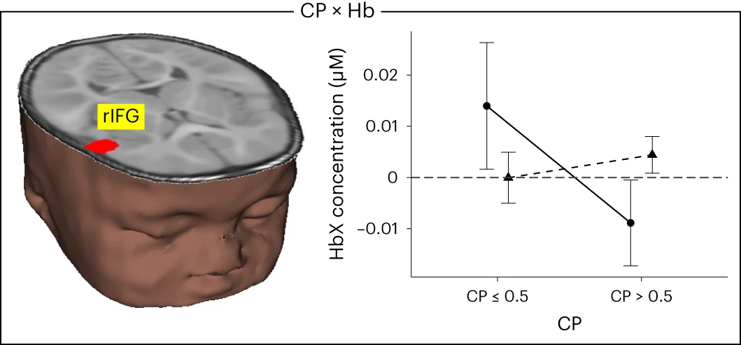 Brain image shows effect in rIFG (red cluster in brain inset). Right panel shows mean ± s.e. HbO (solid, circles) and HbR (dashed, triangles) concentrations across the haemodynamic time window (0–20 s) for infants with CP scores less than chance (≤0.5) and CP scores greater than chance. n = 221 6- and 9-month-old infants.