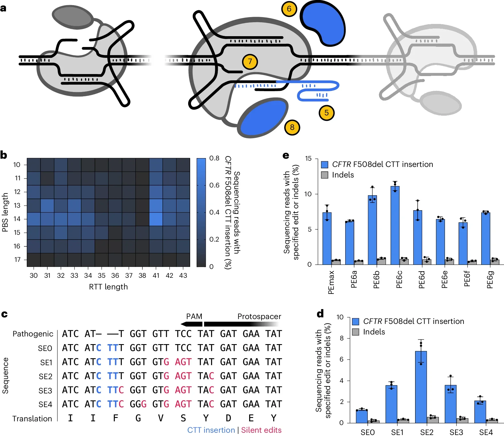 PE enhancements synergistically enhance correction of CFTR F508del.