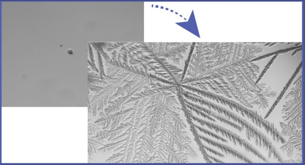 ce-binding proteins (IBPs) are expressed in variousorganisms for several functions, such as protecting them fromfreezing and freeze injuries.