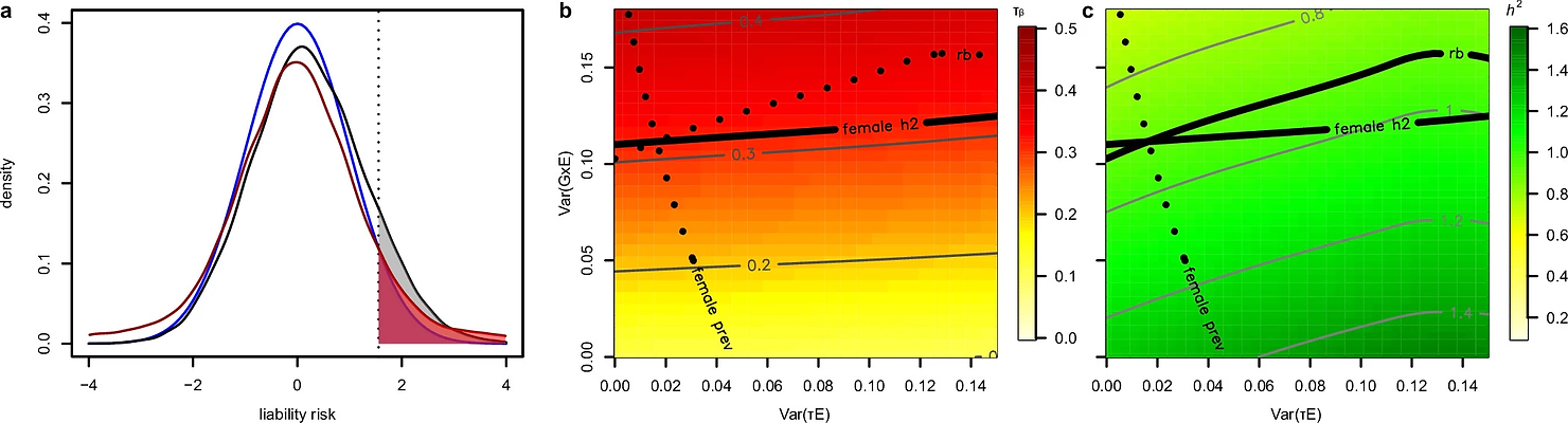 Simulation study assessing sex-specific heritability and genetic correlation divergence.