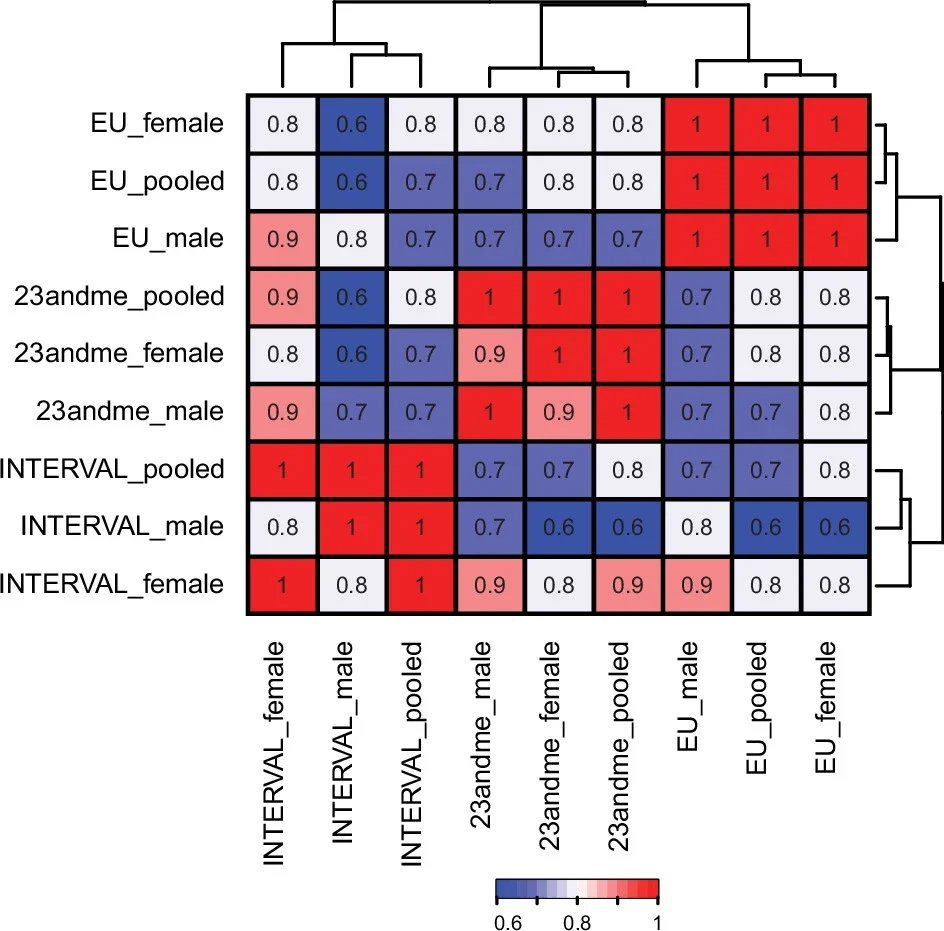 Genetic correlation between individual discovery stage GWAS of the N-GWAMA meta-analysis.