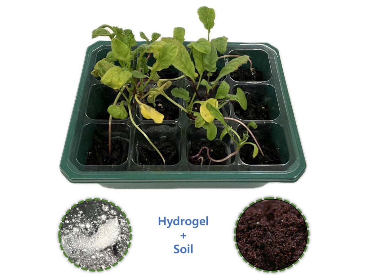 A newly engineered type of soil can capture water out of thin air to keep plants hydrated and manage controlled release of fertilizer for a constant supply of nutrients.