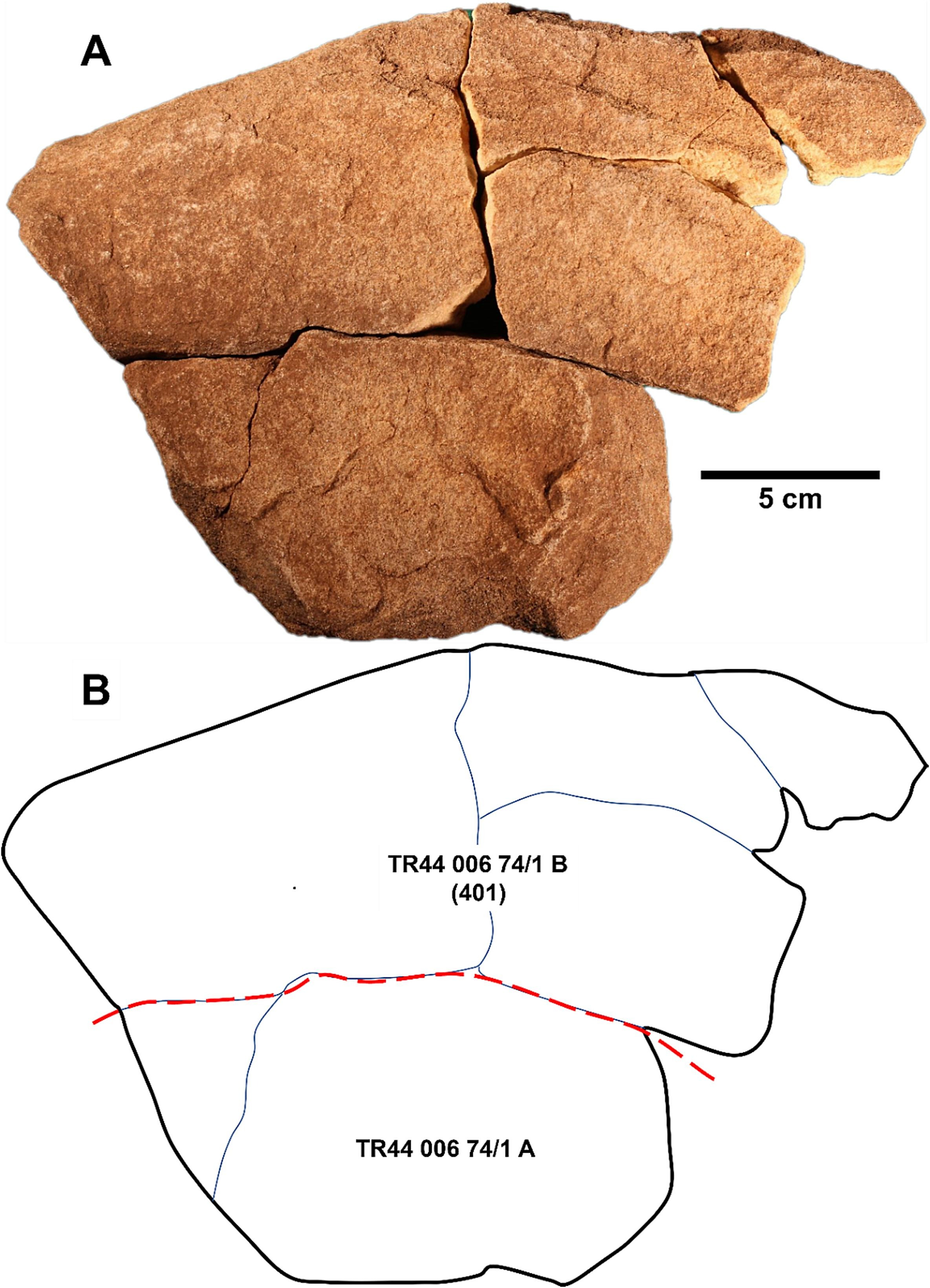 Photograph of refitted sarsen sample SAV08 TR44 006 74/1 from trench TR44. B – Schematic, showing principal fractures and delineation into parts A and B (dashed line). The join between the two parts was weathered, suggesting that the flake was fragmented in prehistory. 