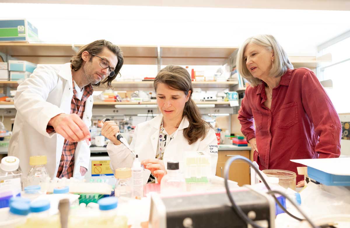 William Krause, PhD, left; Muriel Babey, MD, center; and Holly Ingraham, PhD, right, at the Ingraham Lab in Arthur and Toni Rembe Rock Hall at the UCSF Mission Bay campus.