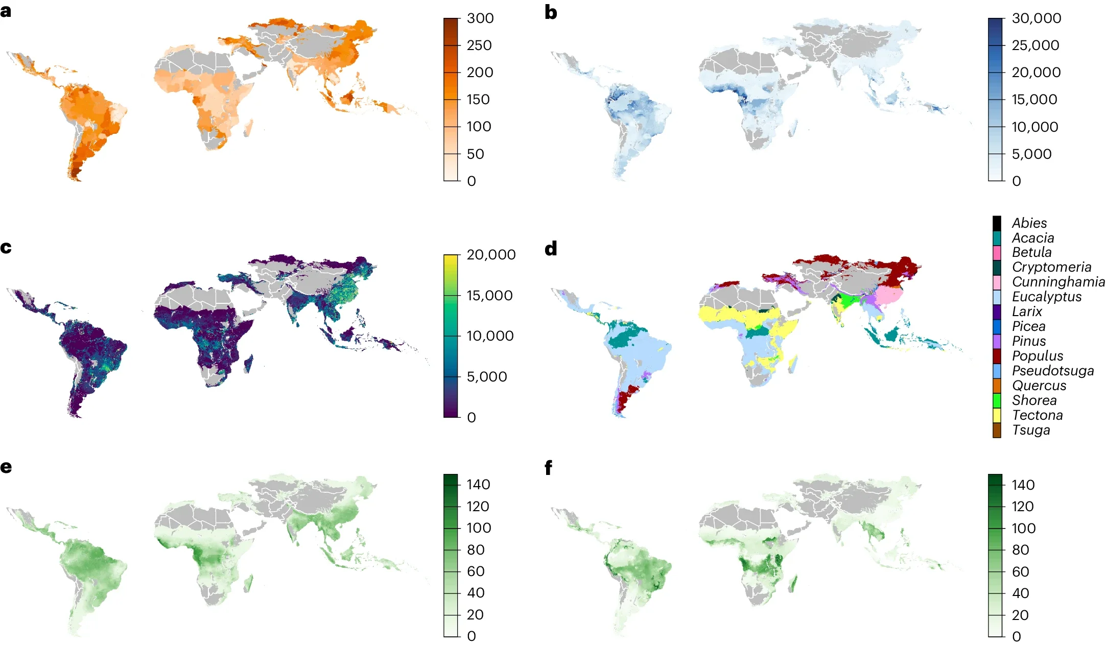 Costs, likely plantation genus and carbon accumulation from reforestation.