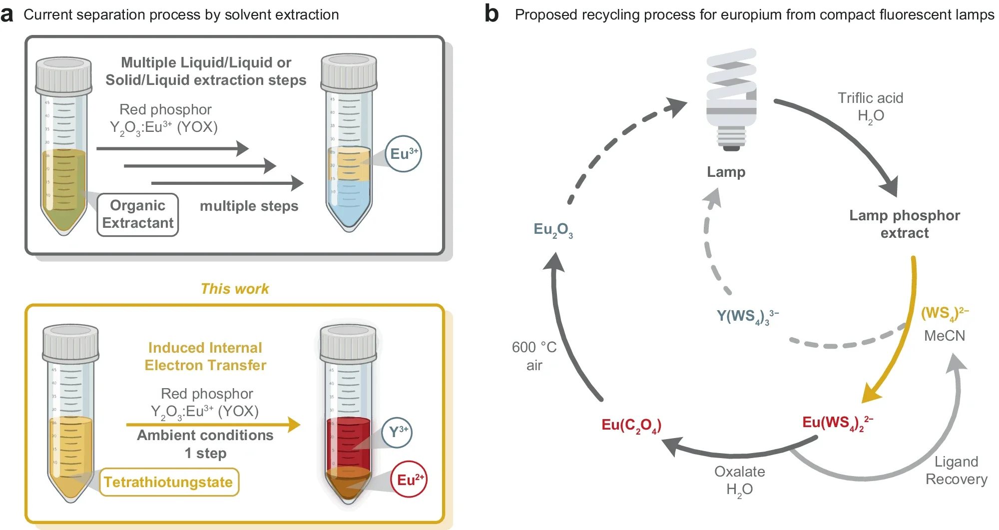 Fig. 1: Selective precipitation of europium and application to the recycling of lamp phosphor powder.