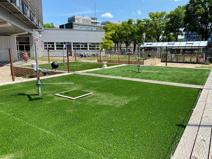 Picture of the field site in Amsterdam with the four research plots.