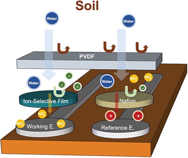 Schematic description of the working principle behind the open circuit potentiometric sensing enabled by the PVDF membrane.