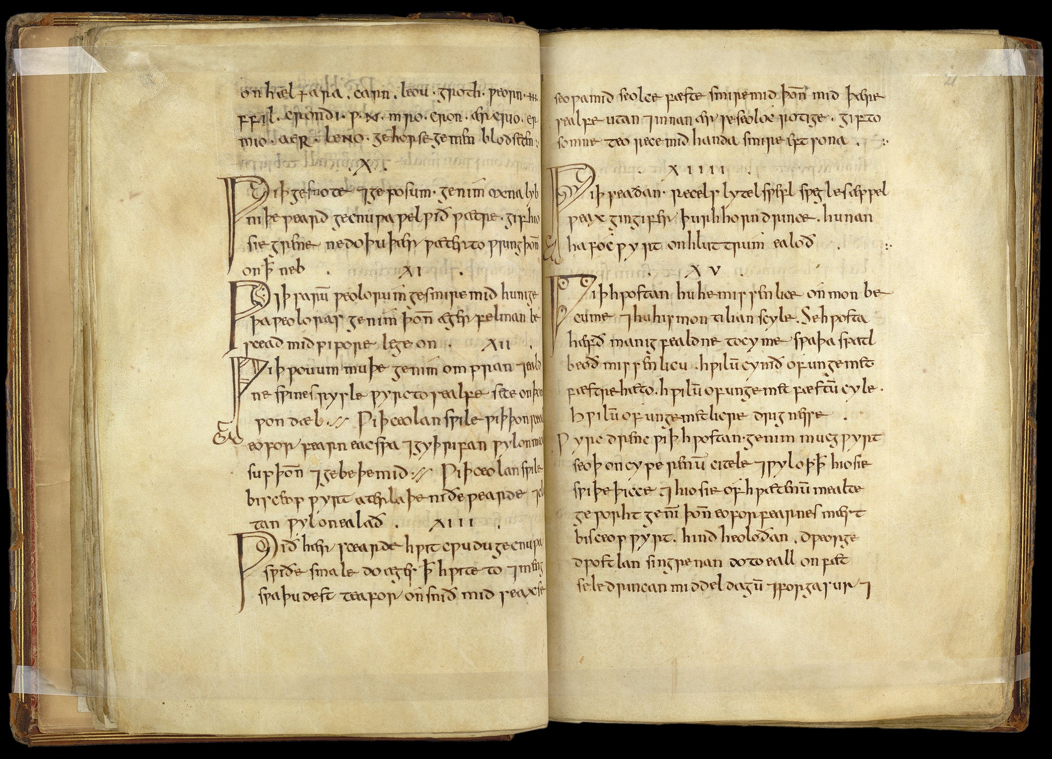 The leechbook