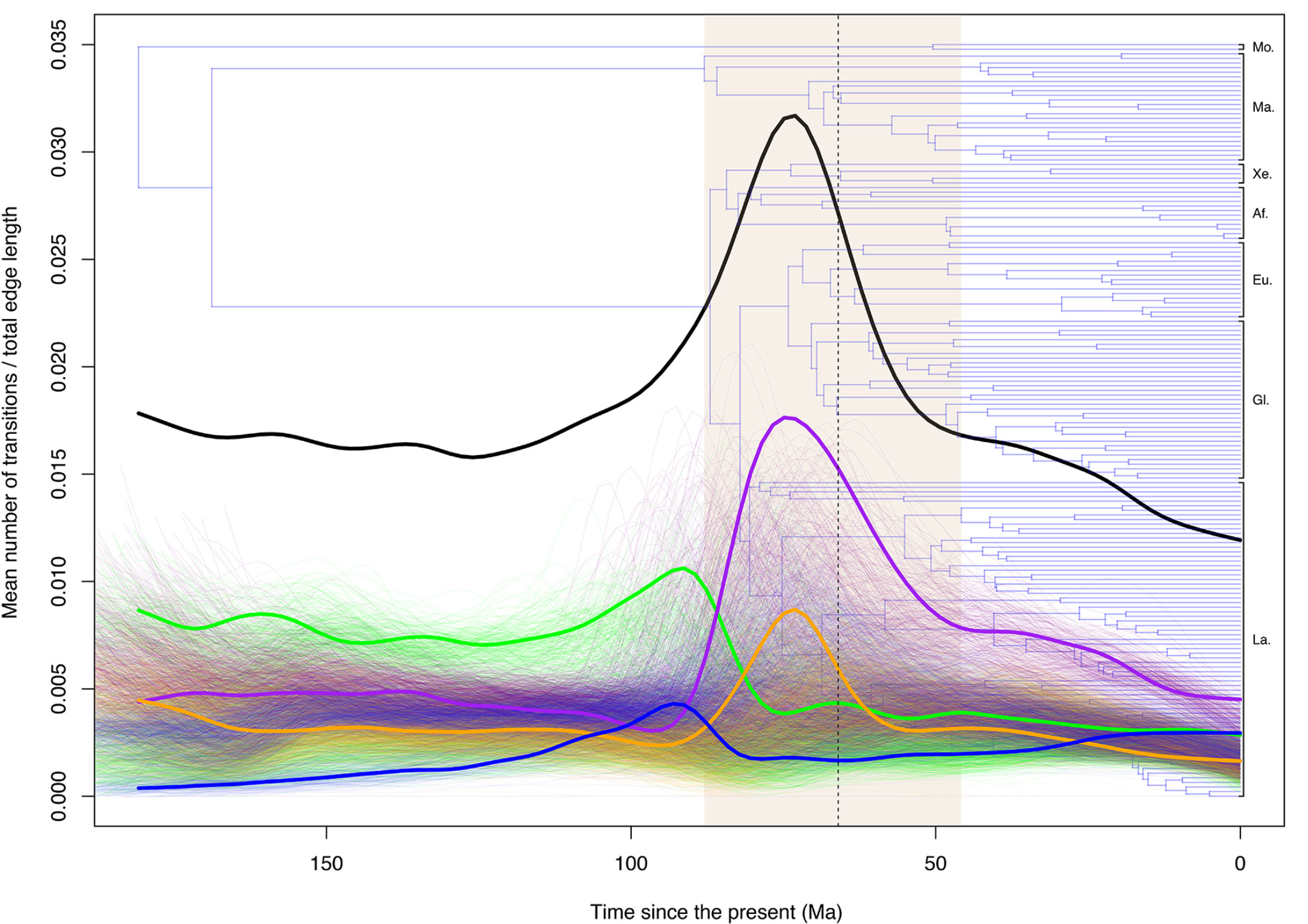The results of 500 stochastic maps simulated on each of 1,000 trees sampled from the posterior distribution of Upham et al. (2019).