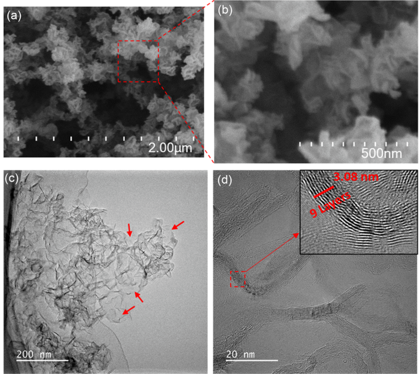 Low‐ and high‐magnification SEM images of 500 W graphene sample