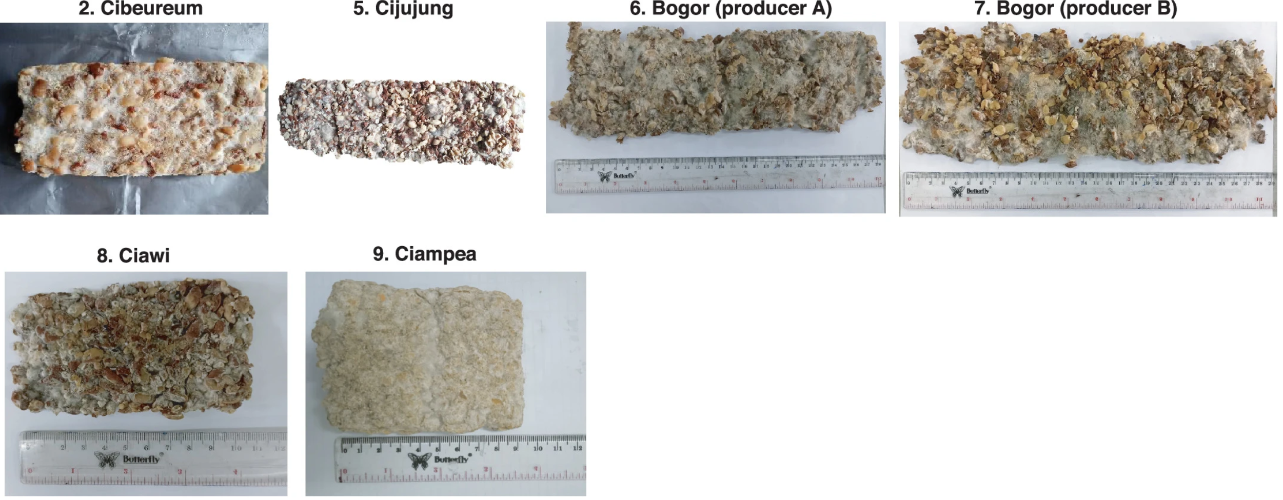 Photos of black and red oncom samples collected from different producers in Java, Indonesia.