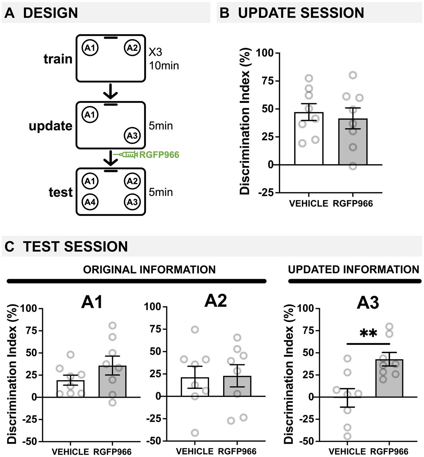 Age-related deficits in memory updating are ameliorated by blocking HDAC3 immediately after updating.