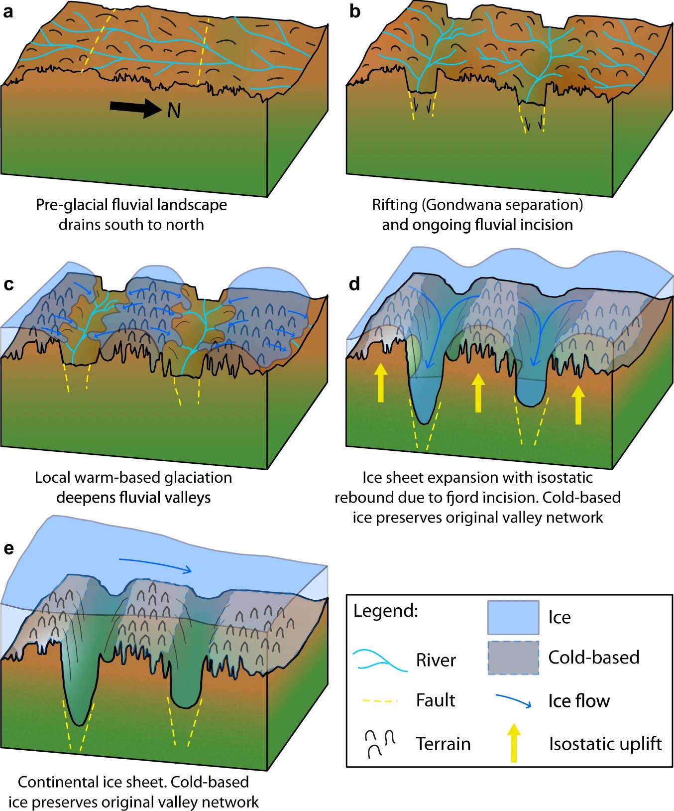 Inferred evolution of the ancient landscape. a Original fluvial land surface; b Gondwana break-up activates pre-existing tectonic structures, causing drainage re-organisation; c Local warm-based ice forms on the uplands and incises local-scale glacial valleys; d Ice expansion towards continental-scale ice sheet with cold-based ice rapidly developed over highlands, and warm-based ice steering through and eroding the intervening structurally-controlled valleys so they become fjords; e Continental-scale ice with cold-based ice on the highlands and continental-scale ice flowing slowly over the region, largely ignoring topography. Inferred evolution of the ancient landscape. a Original fluvial land surface; b Gondwana break-up activates pre-existing tectonic structures, causing drainage re-organisation; c Local warm-based ice forms on the uplands and incises local-scale glacial valleys; d Ice expansion towards continental-scale ice sheet with cold-based ice rapidly developed over highlands, and warm-based ice steering through and eroding the intervening structurally-controlled valleys so they become fjords; e Continental-scale ice with cold-based ice on the highlands and continental-scale ice flowing slowly over the region, largely ignoring topography.