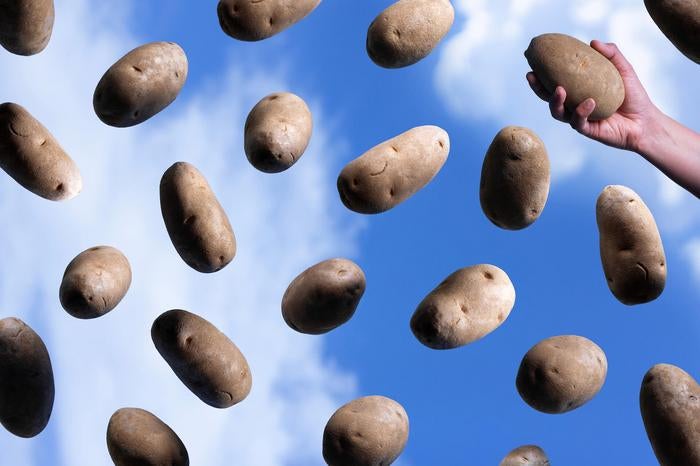 The health benefits of potatoes are misunderstood, according to research by professor Neda Akhavan in UNLV's Department of Kinesiology and Nutrition Sciences.