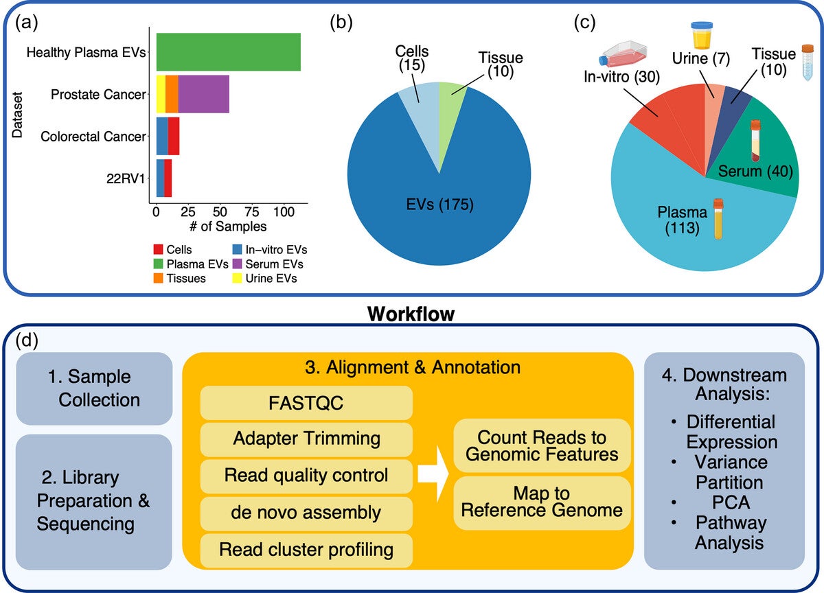 Overview of experimental design and data analysis.