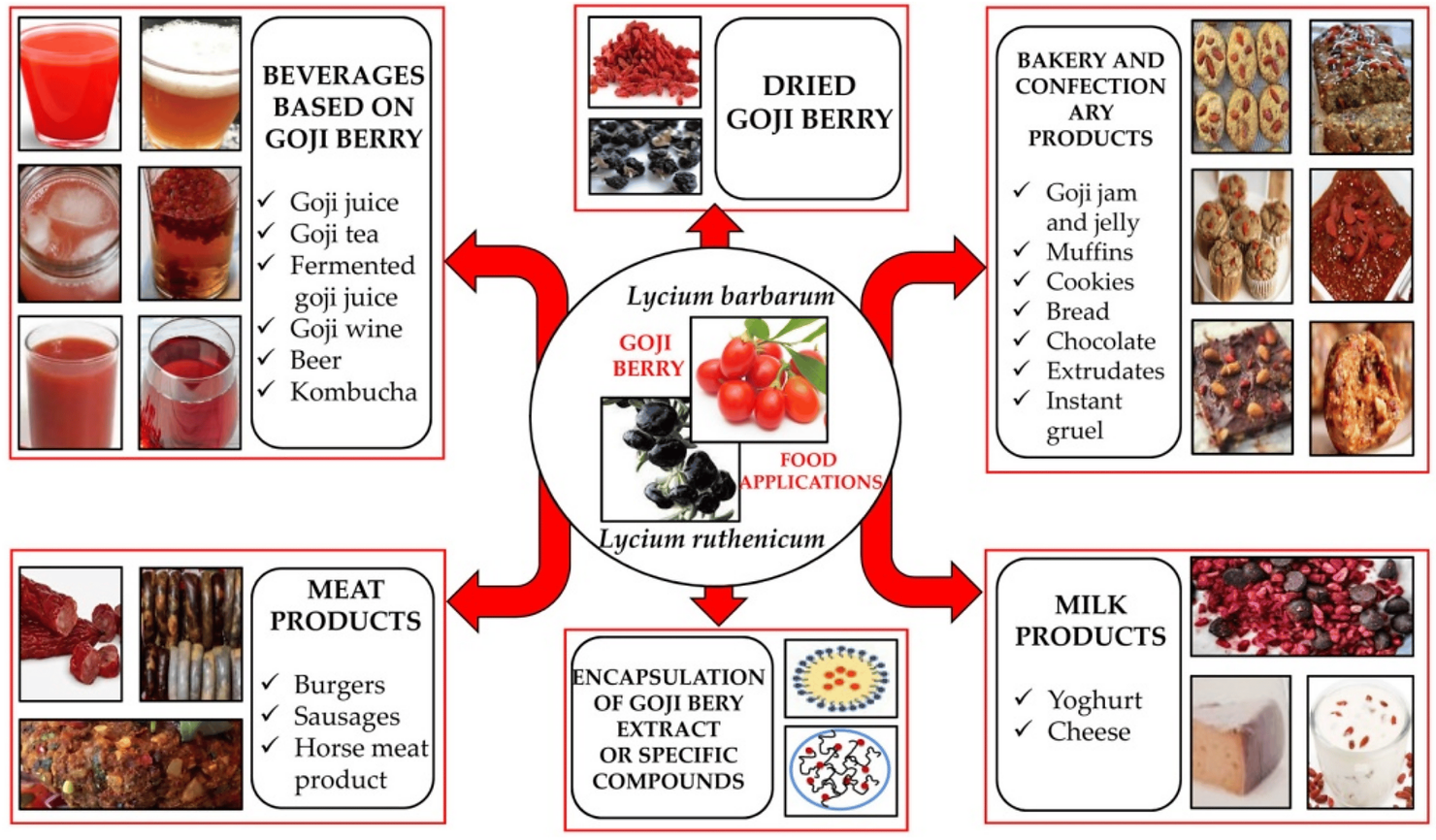 Goji berry-based functional food products.