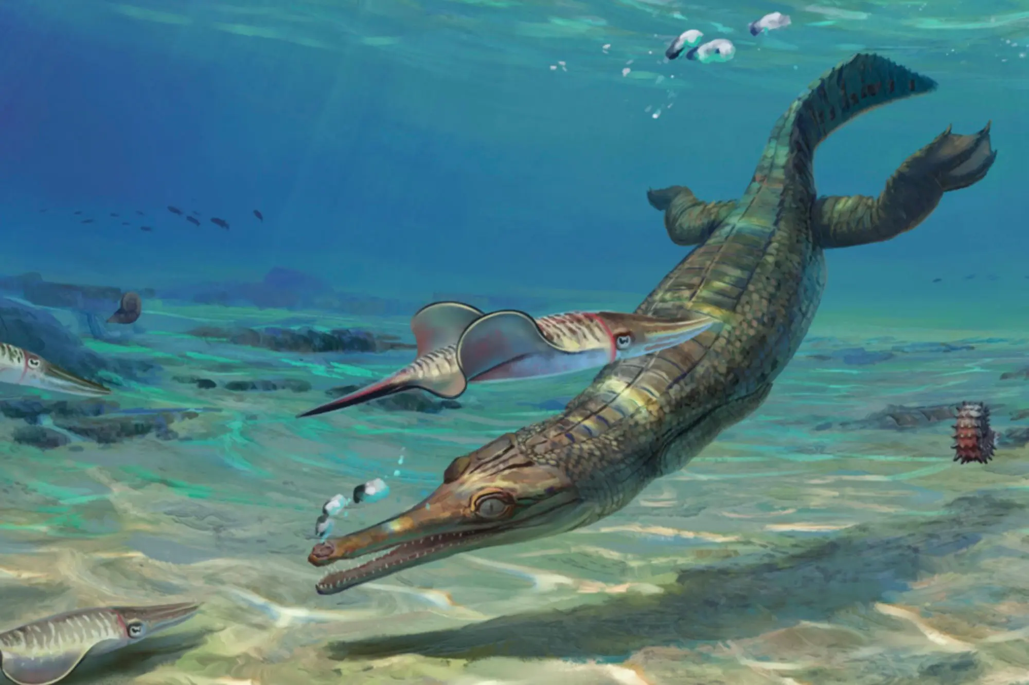 Scientists discover new species of ancient crocodile - from 135 million